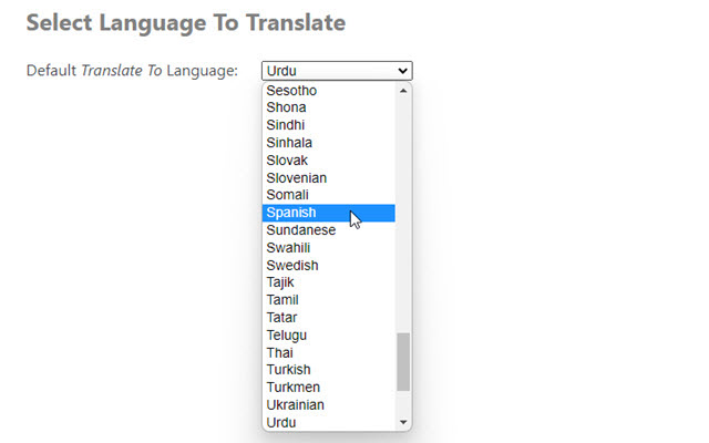 Language Tools Preview image 2