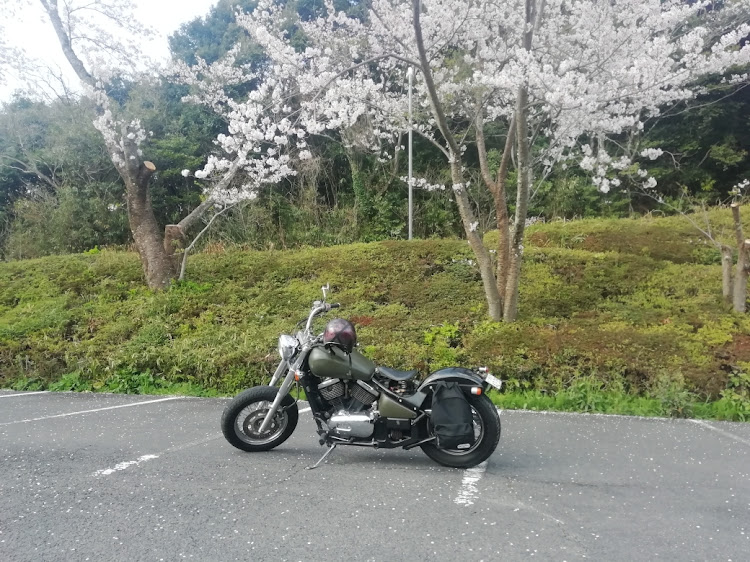 ずあきさんが投稿したカワサキ・バイク・花見ツーリングに関するカスタム事例の投稿画像1枚目
