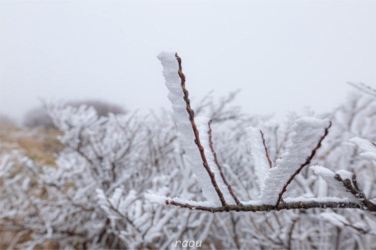 の投稿画像8枚目