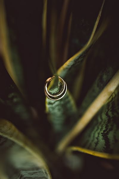 Fotografo di matrimoni Tyler Nardone (tylernardone). Foto del 10 luglio 2019