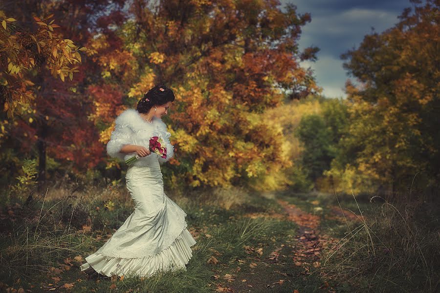 結婚式の写真家Elina Shumkova (ellina-sh)。2012 12月29日の写真