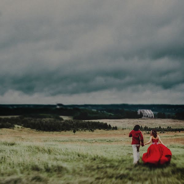 Kāzu fotogrāfs Olga Dronova (starlight). Fotogrāfija: 3. oktobris 2013