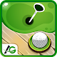 Download Indoor Golf For PC Windows and Mac 1.0