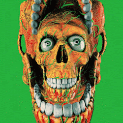 Wormskull
