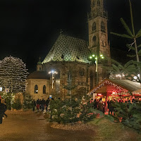 Tra alberi e luci di 