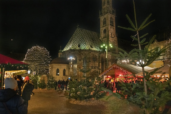 Tra alberi e luci di umby2001