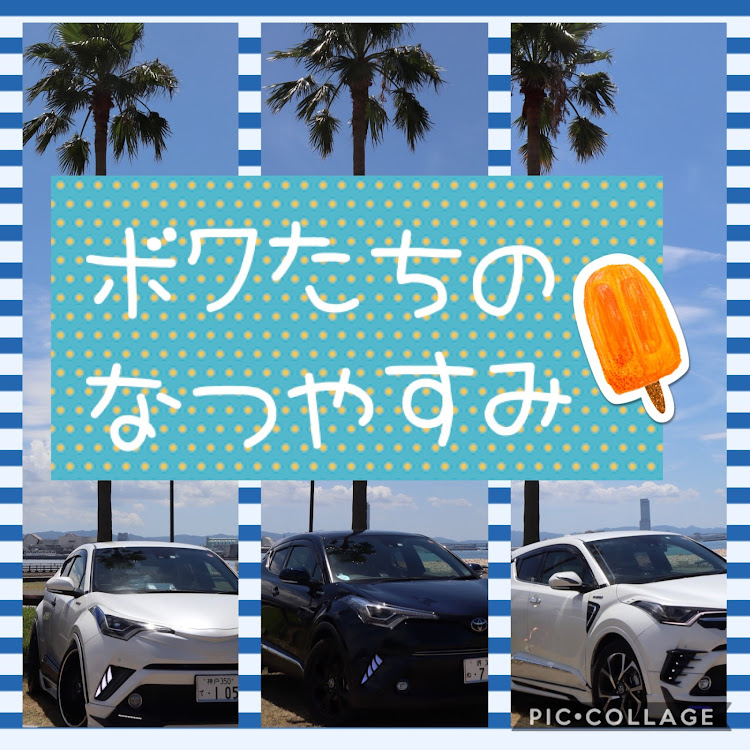 C-HRのみんな仲良し😁・なつのおもひでに関するカスタム事例の投稿画像1枚目