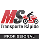 Download Ms Transporte - Profissional For PC Windows and Mac 22.3