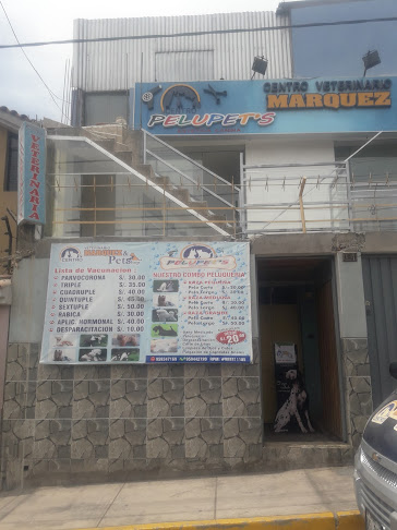 Opiniones de Centro Veterinario Marquez en Arequipa - Veterinario