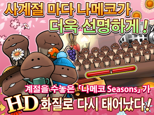 나메코 재배 킷트 Seasons HD