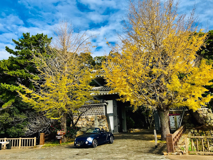 コペンの紅葉と愛車・田原城跡🏯・マフラー何がいいですかに関するカスタム事例の投稿画像1枚目