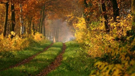 Road and nature poster 9