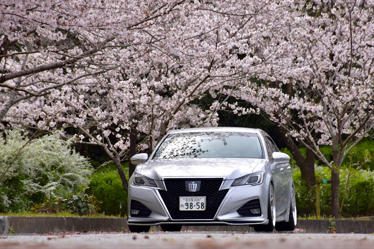 クラウンアスリートのフッ軽部隊・弐壱零冠會・桜とコラボ・サクラと愛車・桜に関するカスタム事例の投稿画像1枚目
