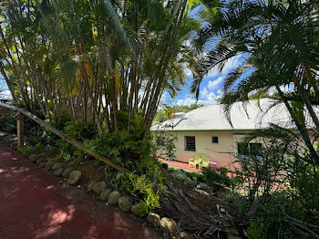 maison à Baie mahault (971)