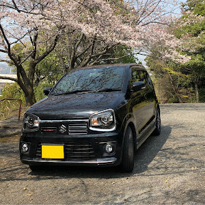 アルトワークス HA36S