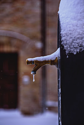 Ice time di Boston Bog