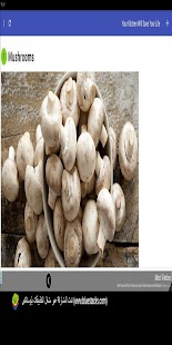 30 Diets Preventing Breast Cancer - náhled