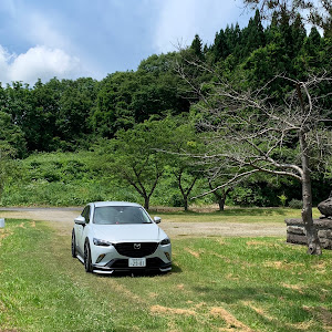 CX-3 DK5FW