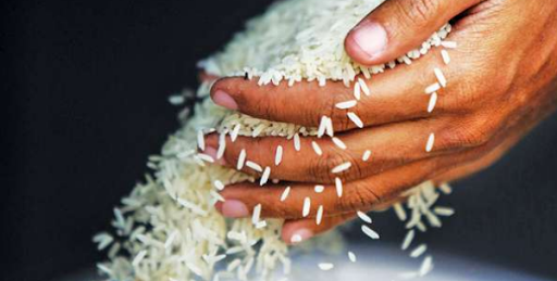 rice-brands-Group-International