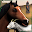 Horse Simulator 3D Animal lives: Adventure World Download on Windows