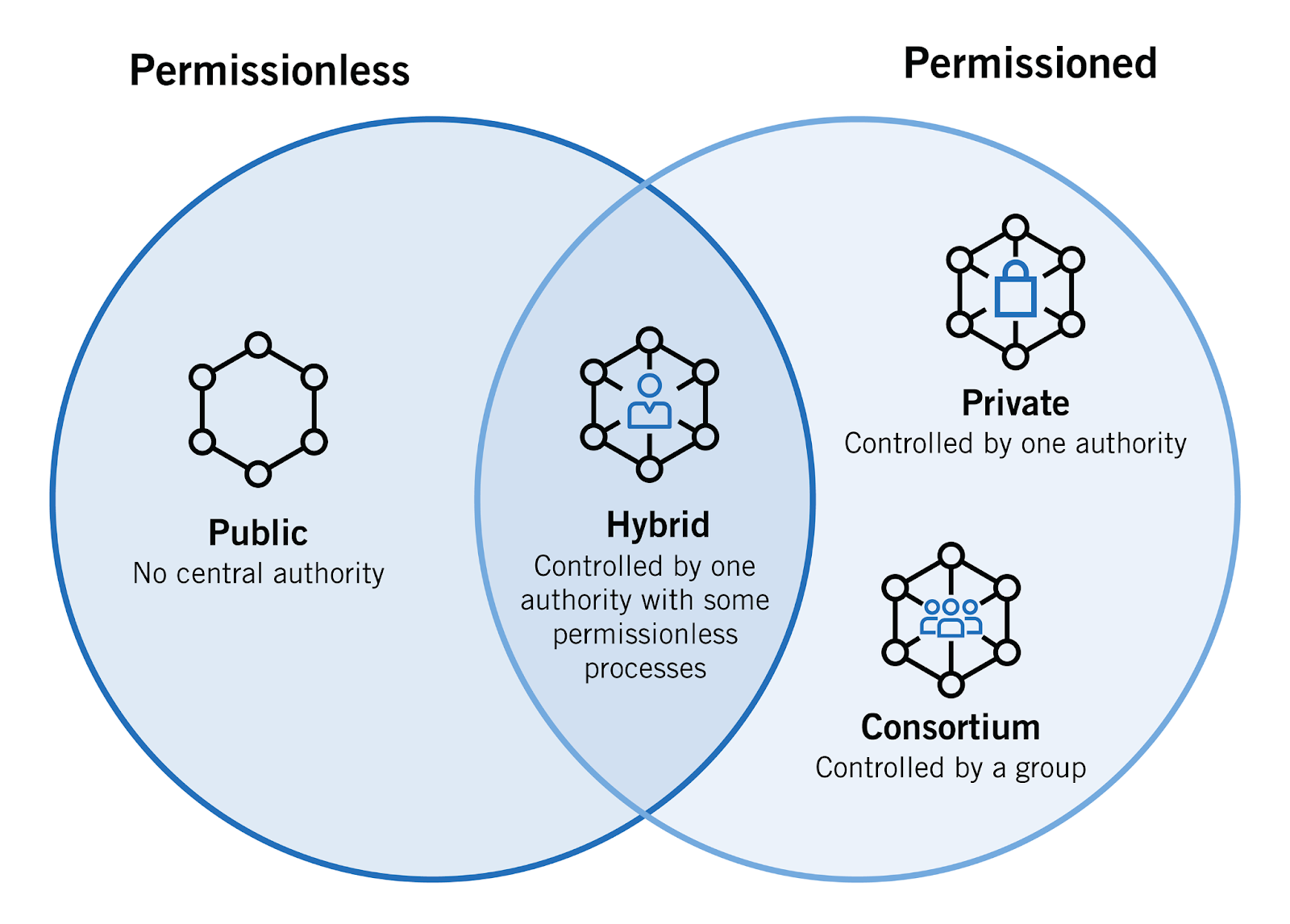 Hybrid DAO Model