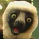 Zaboomafoo