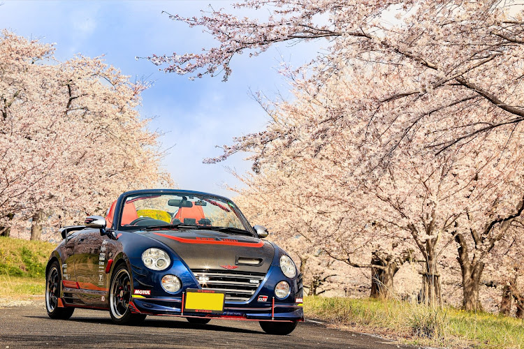 コペンのサクラと愛車・桜とコラボ・オープンカーのある景色・青空と桜と愛車に関するカスタム事例の投稿画像1枚目