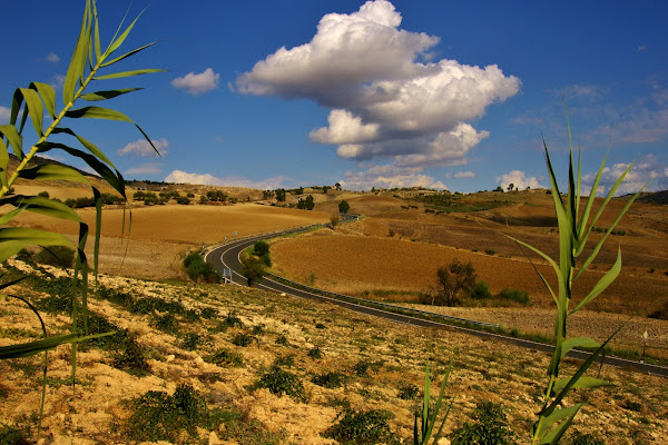 Entroterra di tuccio15