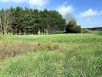 terrain à Saint-Nazaire-sur-Charente (17)