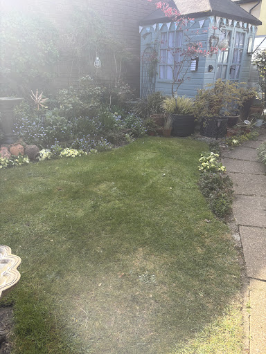 Cleared 
Potten end 