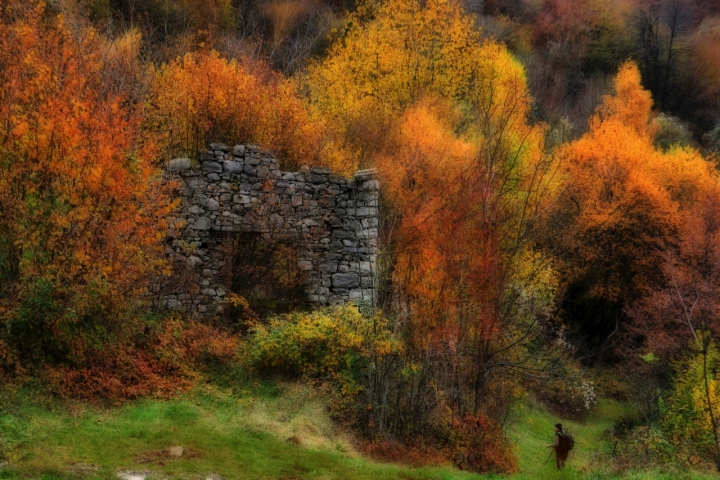 Passeggiando fra i colori.. di AlfredoNegroni