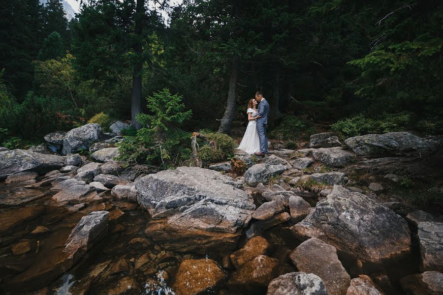 Photographe de mariage Andrey Sasin (andrik). Photo du 27 novembre 2018