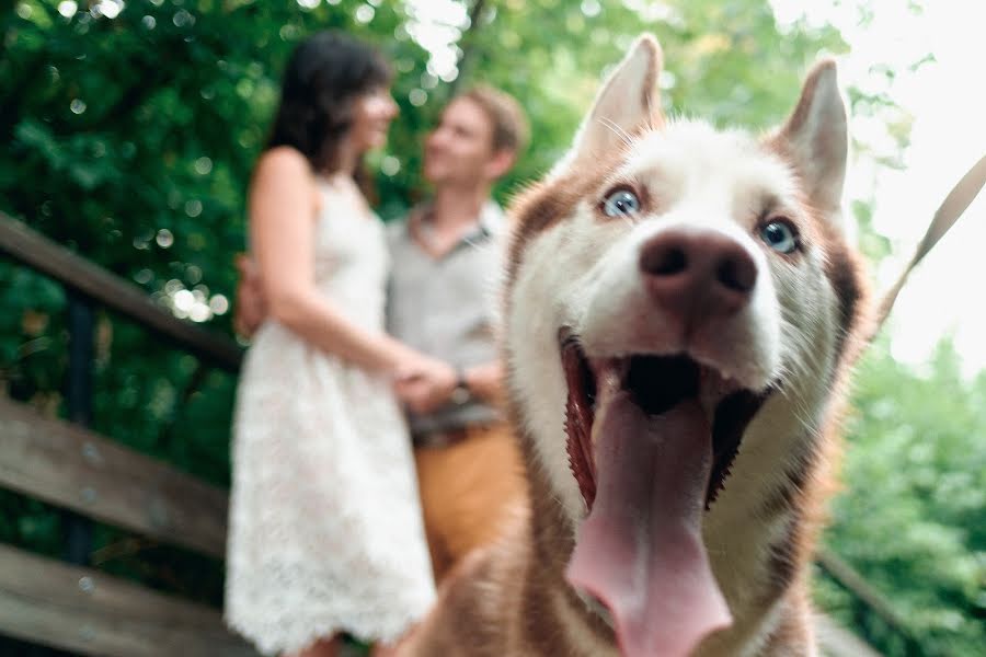 Fotografo di matrimoni Yuriy Stulov (uuust). Foto del 23 agosto 2016