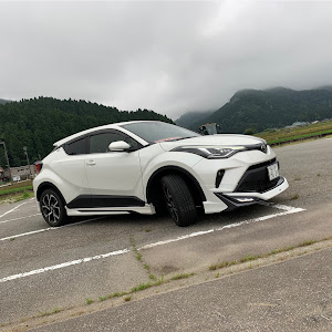 C-HR NGX50