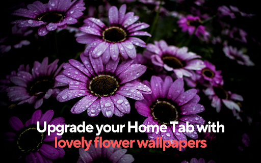 Beautiful Flower Wallpapers - New Tab