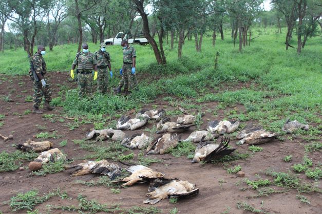 The site where 47 dead vultures were discovered on Sunday