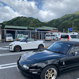 ロードスター NA6CE