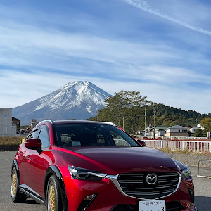 CX-3 DK8FW