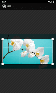 植物识别-拍照识别花草树木 PlantSnap Flower&Treeのおすすめ画像4