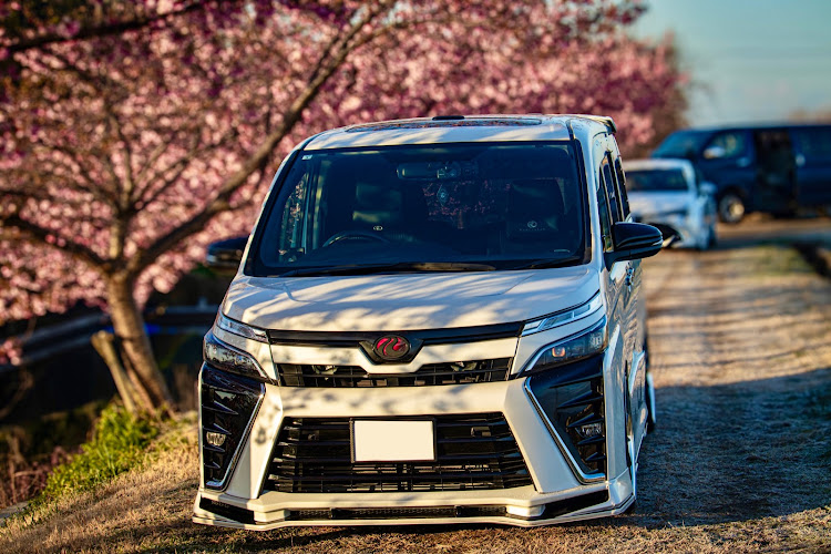 カローラスポーツのいつもイイネ&コメントありがとうございます🙇‍♂️・朝活撮影📷・花を愛でるお年頃・フォロワーさまに感謝です😌✨・頑張れ北陸、頑張れ石川！に関するカスタム事例の投稿画像4枚目