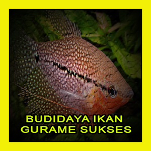 Download Panduan Budidaya Ikan Gurame Sukses For PC Windows and Mac