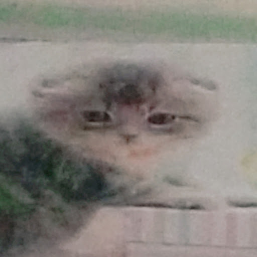 萎えﾁｬ