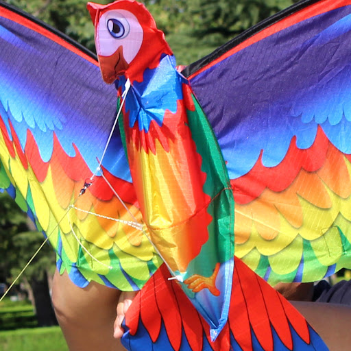 Title 1, Large Animal Kite 3D Parrot Kite Soar High with...
