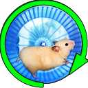 アプリのダウンロード Hamster In a Wheel Jungle をインストールする 最新 APK ダウンローダ