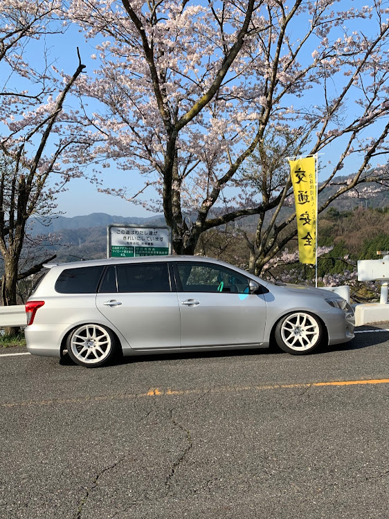 カローラフィールダーの桜と愛車・ドライブ・洗車・コロナウイルスに負けるなに関するカスタム事例の投稿画像1枚目