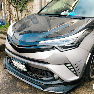 C-HR ZYX10