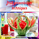 Download fruit presentation techniques For PC Windows and Mac 1.0