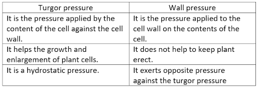 Solution Image