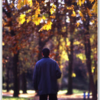 Viale d'addio di 