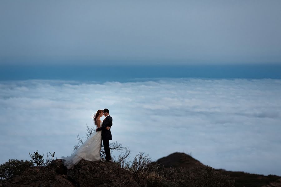 Fotografo di matrimoni Jose Novelle (josenovelle). Foto del 24 novembre 2014